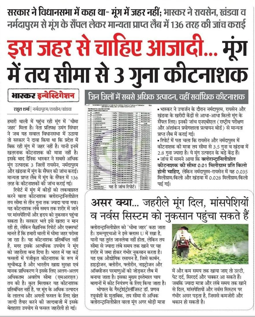 Green gram (moong) carries 3× the permitted pesticide; chlorpyrifos found far above the safe limit — Dainik Bhaskar · Bhaskar Investigation — report by Rahul Sharma